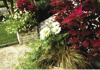 PHILIPCRAWFORD + associates is a licensed landscape architecture firm that works on a wide range of residential landscape projects serving a variety of needs.  Our "Client Questionnaire" and subsequent on-site meetings allow us to gain an understanding of our individual client's wants and needs.  From small urban lots where space is at a premium, to larger lots where space is a luxury, we always provide functional and aesthetically pleasing solutions to our clients.